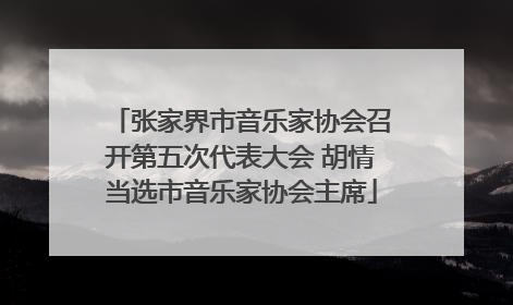 张家界市音乐家协会召开第五次代表大会 胡情当选市音乐家协会主席