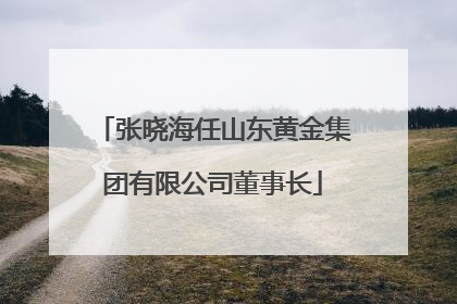 张晓海任山东黄金集团有限公司董事长