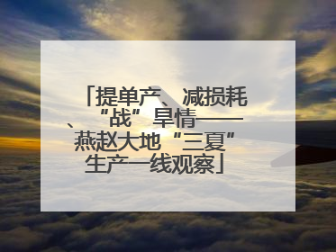 提单产、减损耗、“战”旱情——燕赵大地“三夏”生产一线观察