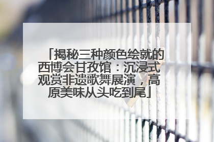 揭秘三种颜色绘就的西博会甘孜馆：沉浸式观赏非遗歌舞展演，高原美味从头吃到尾