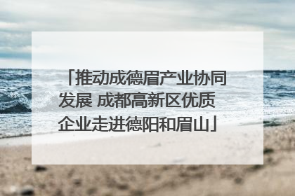 推动成德眉产业协同发展 成都高新区优质企业走进德阳和眉山