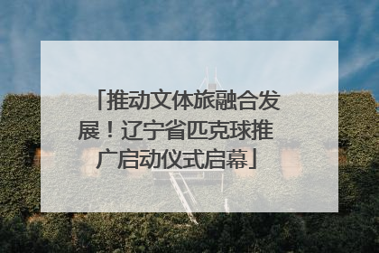 推动文体旅融合发展！辽宁省匹克球推广启动仪式启幕