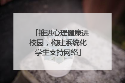 推进心理健康进校园，构建系统化学生支持网络