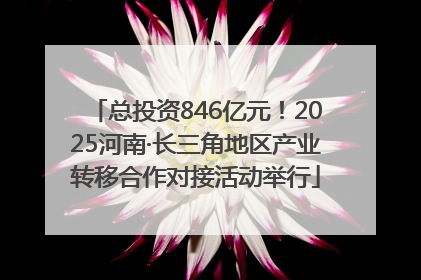 总投资846亿元！2025河南·长三角地区产业转移合作对接活动举行