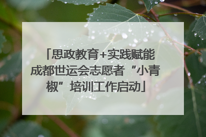 思政教育+实践赋能 成都世运会志愿者“小青椒”培训工作启动