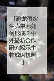 恐龙蛋次生壳单元如何形成？中外最新合作研究揭示生物成因机制