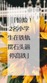 惊险！2名小学生在铁轨摆石头逼停高铁