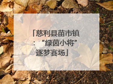 慈利县苗市镇：“绿茵小将”逐梦赛场