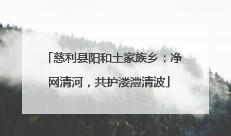 慈利县阳和土家族乡：净网清河，共护溇澧清波