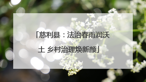 慈利县：法治春雨润沃土 乡村治理焕新颜