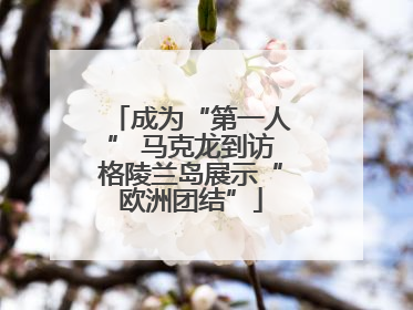 成为“第一人” 马克龙到访格陵兰岛展示“欧洲团结”