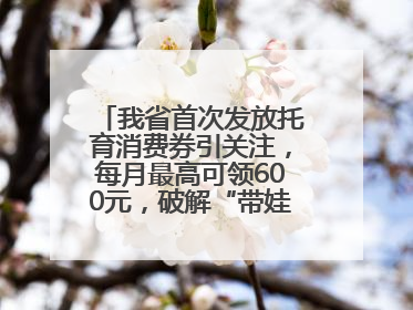 我省首次发放托育消费券引关注，每月最高可领600元，破解“带娃难” 如何不负所“托”？