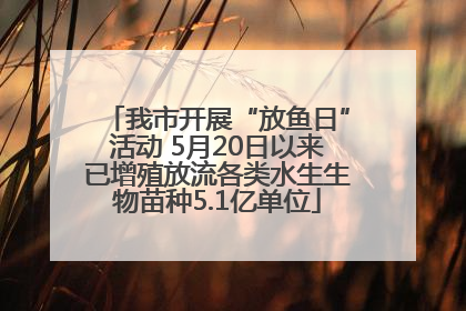 我市开展“放鱼日”活动 5月20日以来已增殖放流各类水生生物苗种5.1亿单位