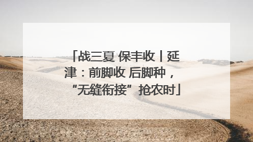 战三夏 保丰收丨延津：前脚收 后脚种，“无缝衔接”抢农时