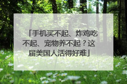 手机买不起、炸鸡吃不起、宠物养不起？这届美国人活得好难
