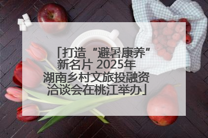 打造“避暑康养”新名片 2025年湖南乡村文旅投融资洽谈会在桃江举办