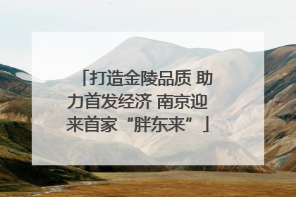打造金陵品质 助力首发经济 南京迎来首家“胖东来”