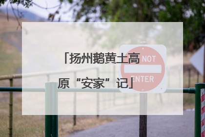 扬州鹅黄土高原“安家”记