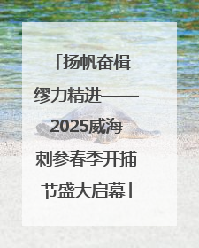 扬帆奋楫 缪力精进——2025威海刺参春季开捕节盛大启幕