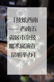 技炫西南——西南五省区市杂技魔术展演在昆明举办