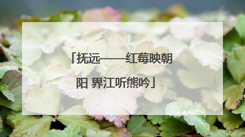 抚远——红莓映朝阳 界江听熊吟