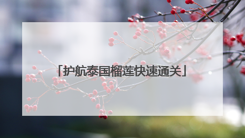 护航泰国榴莲快速通关