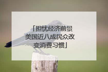 担忧经济前景 美国近八成民众改变消费习惯