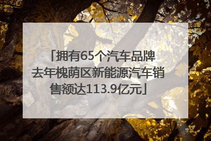 拥有65个汽车品牌 去年槐荫区新能源汽车销售额达113.9亿元