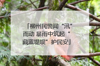 柳州民警闻“汛”而动 暴雨中筑起“藏蓝堤坝”护民安
