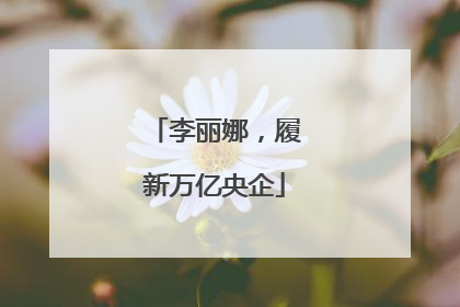 李丽娜，履新万亿央企