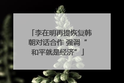 李在明再提恢复韩朝对话合作 强调“和平就是经济”