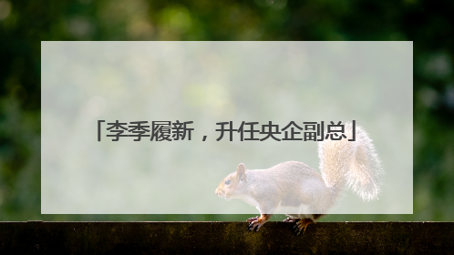 李季履新，升任央企副总