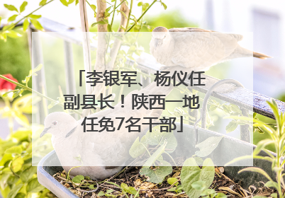 李银军、杨仪任副县长！陕西一地任免7名干部