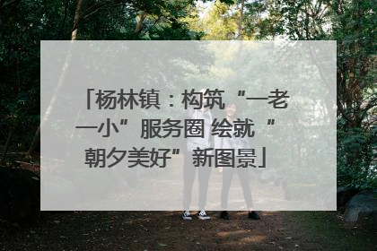杨林镇：构筑“一老一小”服务圈 绘就“朝夕美好”新图景