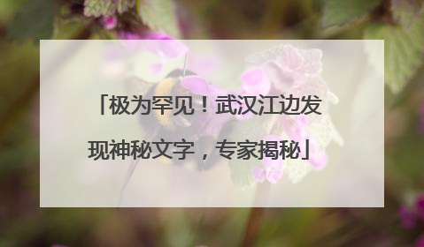极为罕见！武汉江边发现神秘文字，专家揭秘