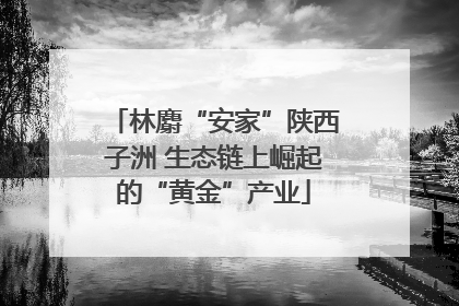 林麝“安家”陕西子洲 生态链上崛起的“黄金”产业