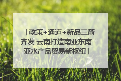 政策+通道+新品三箭齐发 云南打造南亚东南亚水产品贸易新枢纽