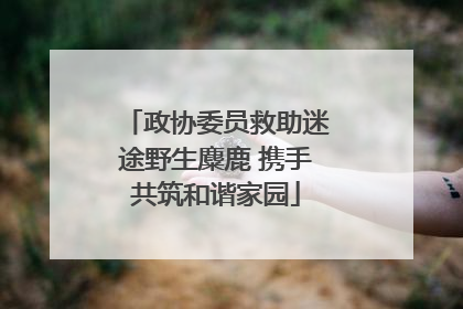 政协委员救助迷途野生麋鹿 携手共筑和谐家园