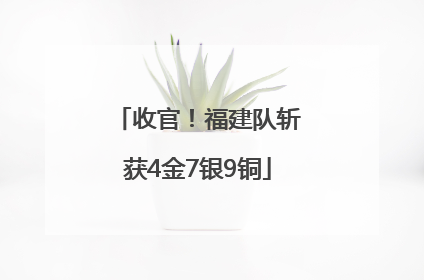 收官！福建队斩获4金7银9铜