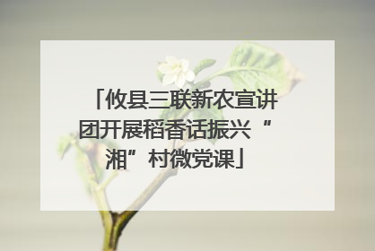 攸县三联新农宣讲团开展稻香话振兴“湘”村微党课