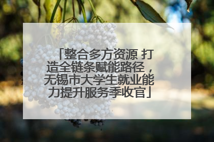 整合多方资源 打造全链条赋能路径，无锡市大学生就业能力提升服务季收官