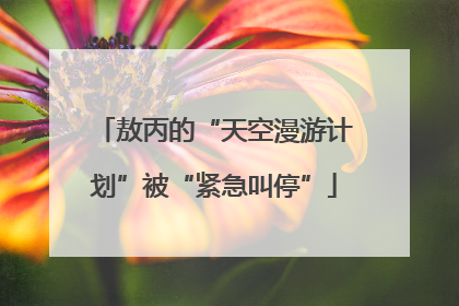 敖丙的“天空漫游计划”被“紧急叫停”
