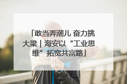 敢当弄潮儿 奋力挑大梁｜海安以“工业思维”拓宽共富路