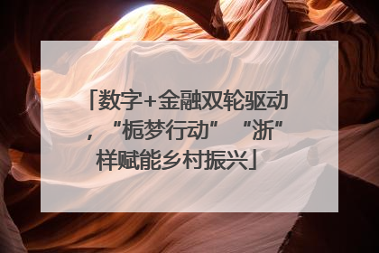 数字+金融双轮驱动，“栀梦行动”“浙”样赋能乡村振兴