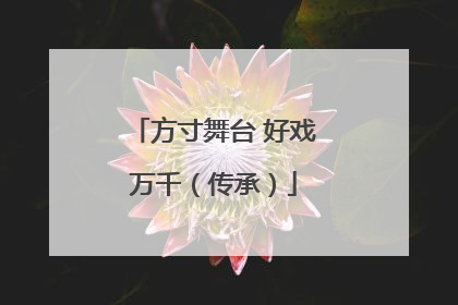 方寸舞台 好戏万千（传承）