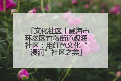 文化社区丨威海市环翠区竹岛街道观海社区：用红色文化“浸润”社区之美