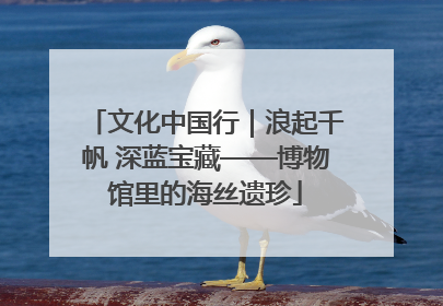 文化中国行｜浪起千帆 深蓝宝藏——博物馆里的海丝遗珍