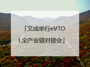 文成举行eVTOL全产业链对接会