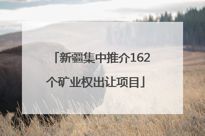 新疆集中推介162个矿业权出让项目