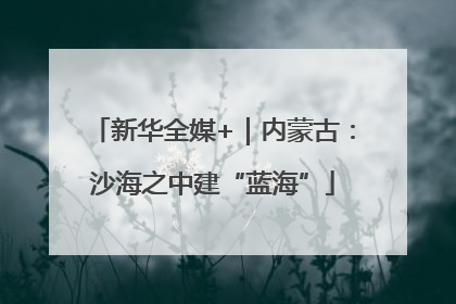 新华全媒+｜内蒙古：沙海之中建“蓝海”